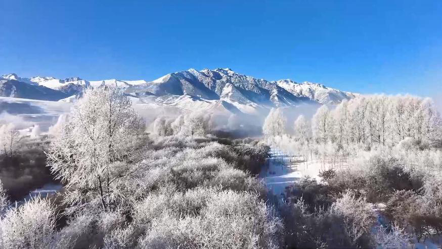 青海門(mén)源：雪后霧凇宛如仙境