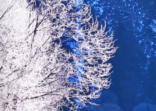 长江源头：玛可河迎来雾凇景观