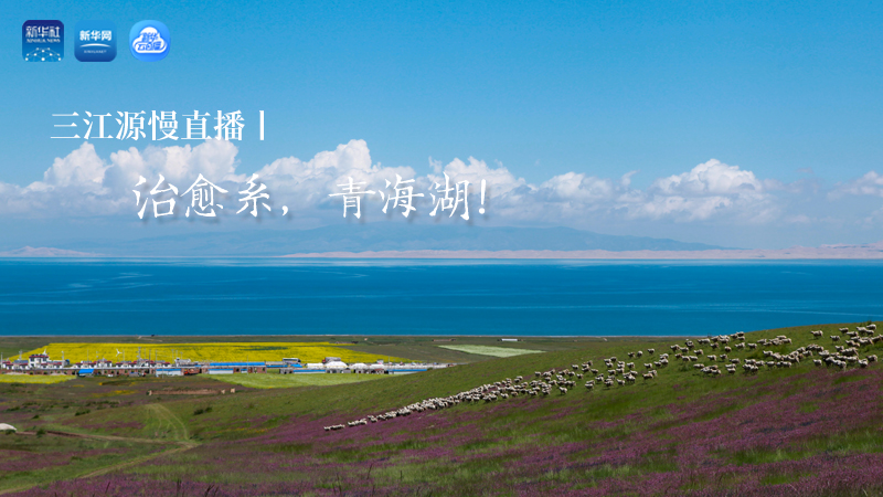 三江源慢直播丨治愈系，青海湖！