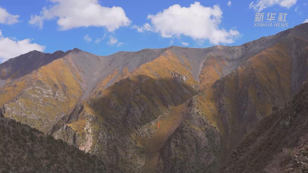 4362張照片！他們?cè)谶@里堅(jiān)持10年開展雪豹種群動(dòng)態(tài)研究